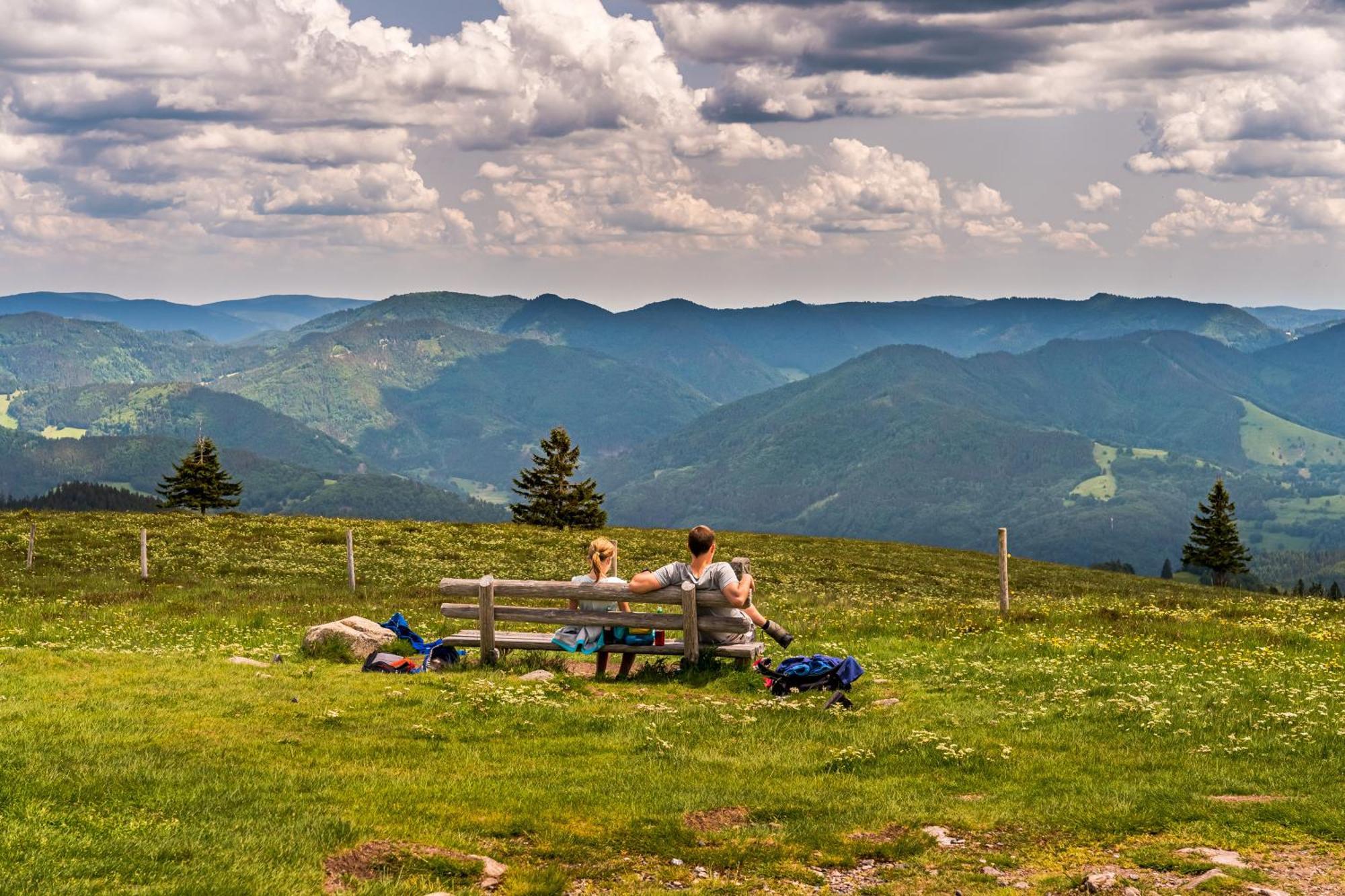 Schwarzwaldliebe Apartment Frohnd Екстериор снимка