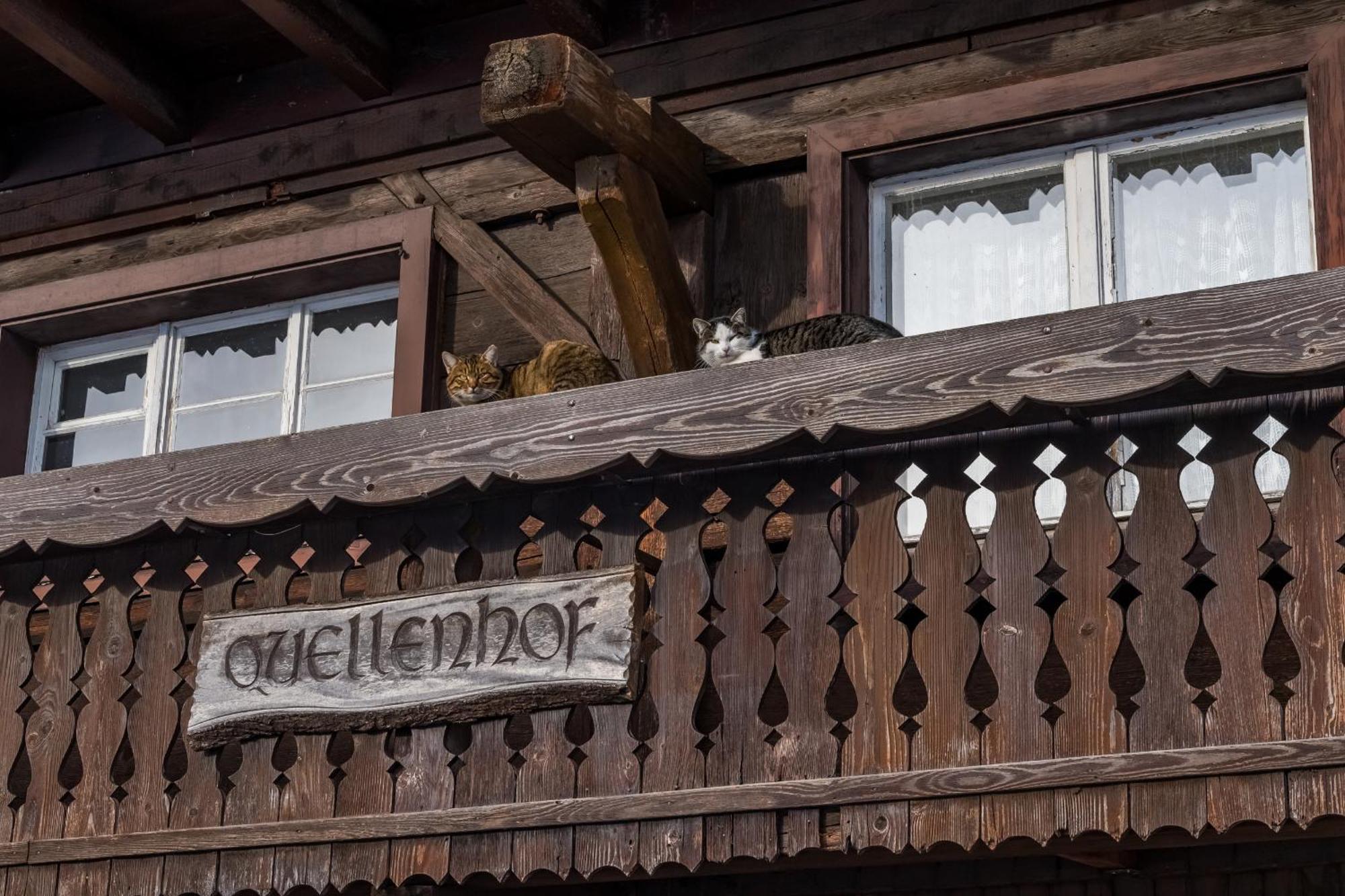 Schwarzwaldliebe Apartment Frohnd Екстериор снимка