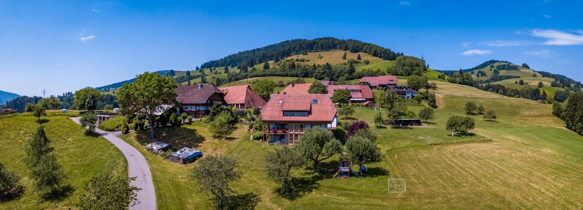 Schwarzwaldliebe Apartment Frohnd Екстериор снимка