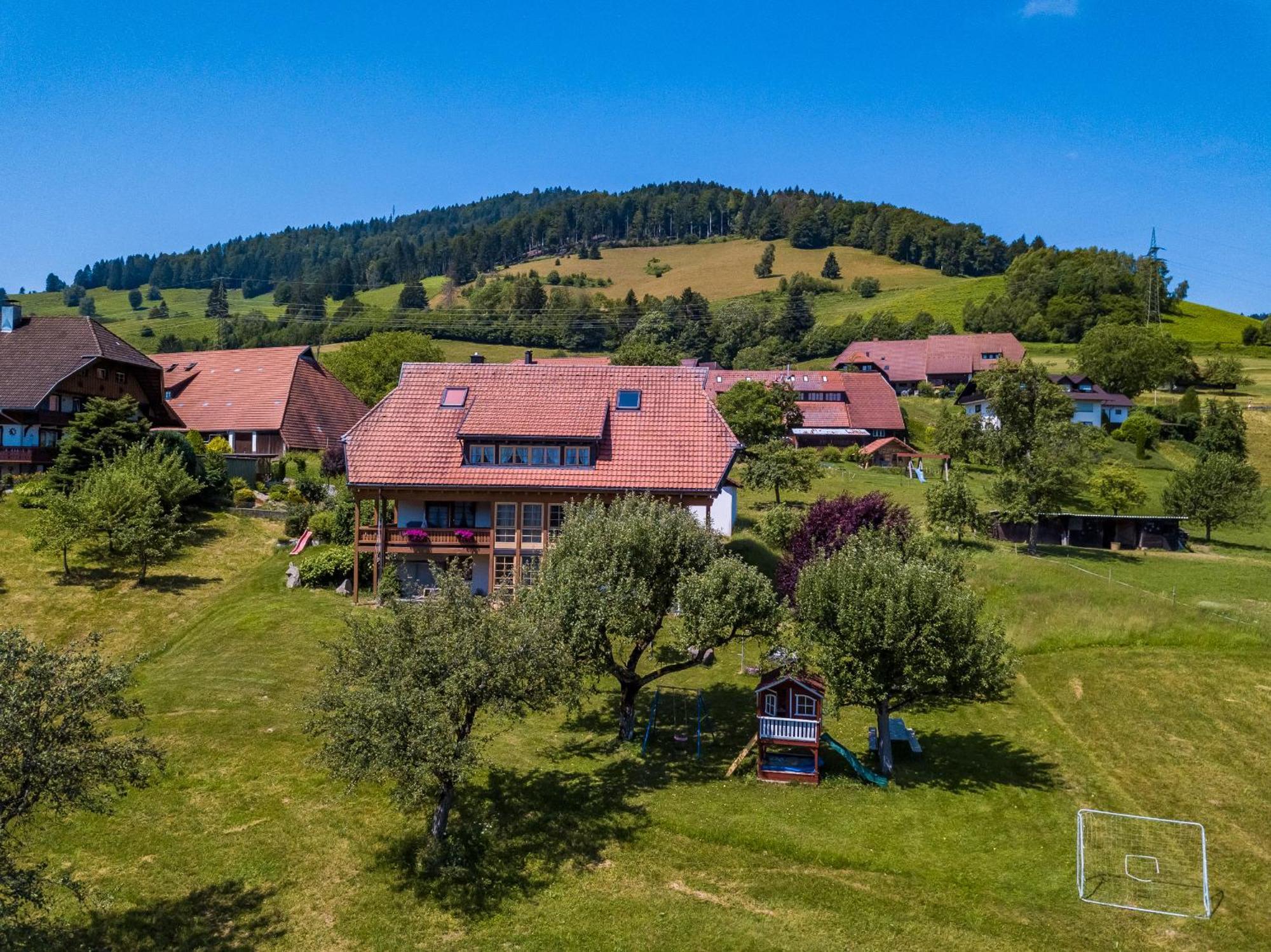 Schwarzwaldliebe Apartment Frohnd Екстериор снимка